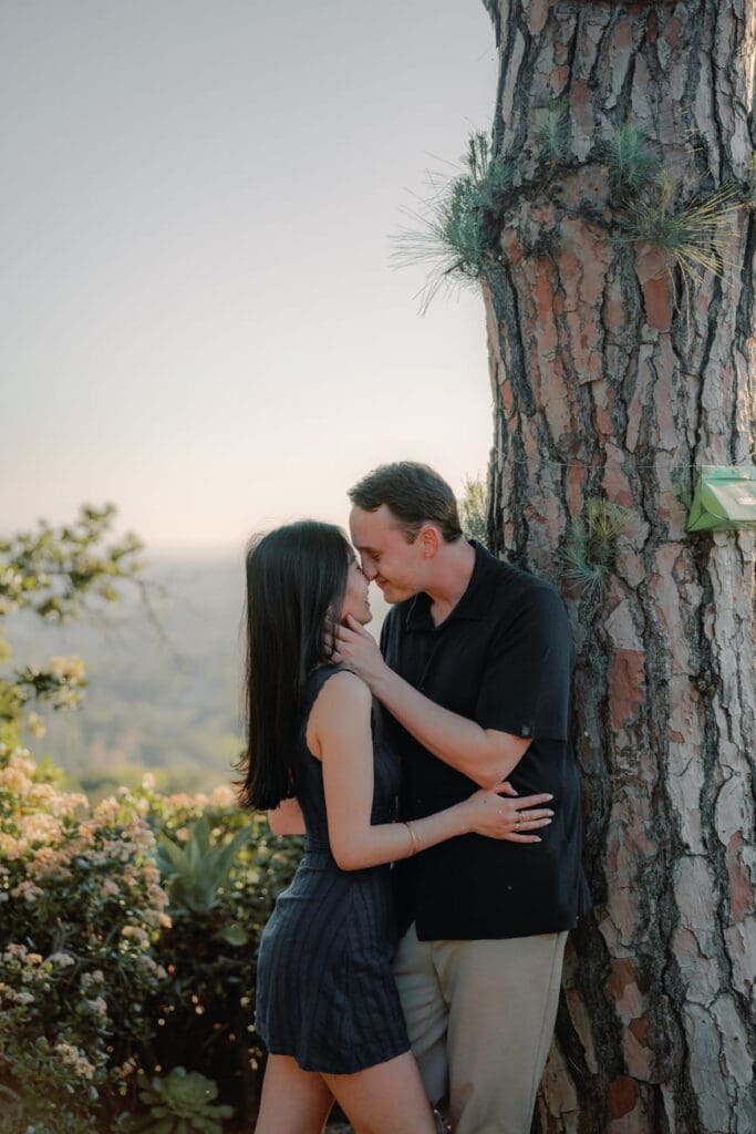 Couple embracing beneath a pine tree with soft backlight and city views during a Beverly Hills engagement session