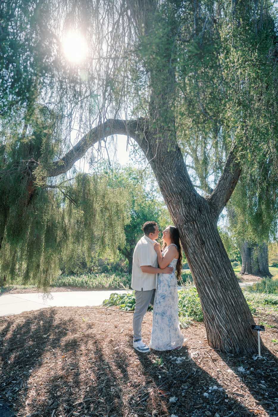 Couple kissing beneath a willow tree with sunlight filtering through the branches.